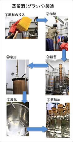 蒸留酒（グラッパ）製造